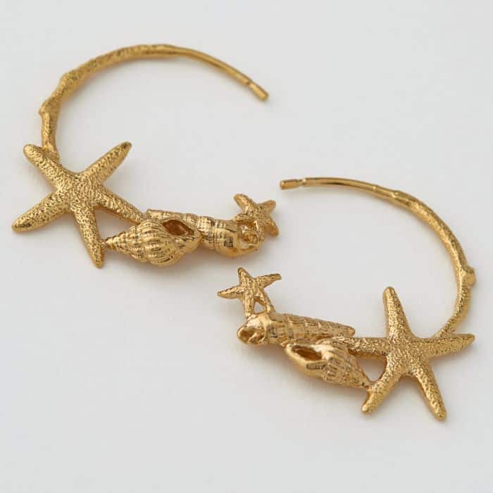 Starfish & Shell Hoop Earrings - Saint Gyles Jewellers